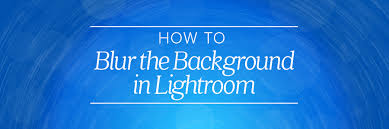 The top photo is the type of photo you can really improve with lightroom's sharpening. How To Blur The Background In Lightroom Shootdotedit
