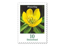 Mit einer thermoskanne haben sie überall das eigene lieblingsgetränk zur hand. Winterling Briefmarke Zu 0 10 10er Bogen Shop Deutsche Post