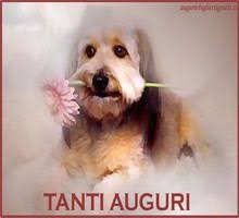 Biglietto Auguri Con Cagnolino Immagini Di Buon Compleanno Buon Compleanno Buon Compleanno Cane