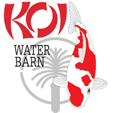 Every koi listing features a fish that was hatched and raised on our 80 acre koi farm from you can find articles related to small koi fish for sale by scrolling to the end of our site to see the related articles section. Home Koi Water Barn Dubai