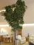 Artificial Trees Uk