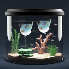 Be sure to protect it from predators in your house like. Lyumo Fluorescence Artificial Globefish Ornament Fish Nbsp For Fish Tank Aquarium Tank Small Globefish Walmart Com Walmart Com