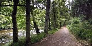 Joyce Elaine Goodrich Obituary