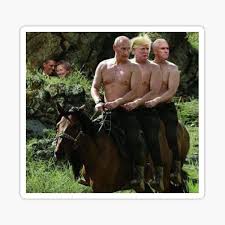 Putin bear meme | vladimir putin: Putin Meme Stickers Redbubble