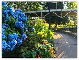 Maybe you would like to learn more about one of these? 15 Beautiful Gardens You Should Explore Near Greenville