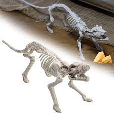 Amazon.com: SCS Direct Halloween Rat Skeletons Set of 2-15