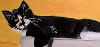 A dozen more paintings by former president george w. Former President George W Bush Switches Allegiance Catster