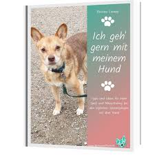 Wir haben ihnen einige der informationen dieser website als download was muss ein auslandshund lernen als download. Ein Hund Aus Dem Ausland Das Solltest Du Wissen Dein Weg Mit Hund
