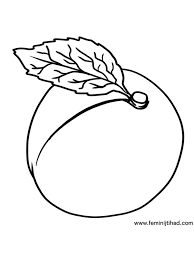 Apricot Coloring Page Image Apricots Are Fruits With Golden Skin And Velvety Texture Apricot Tree Fruit Coloring Pages Coloring Pages Coloring Pages To Print