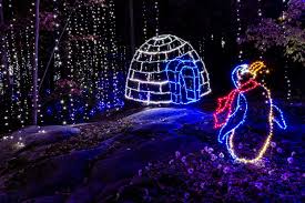 Maybe you would like to learn more about one of these? Didn T Make It To The Enchanted Garden Rock City S Enchanted Garden Of Lights Facebook