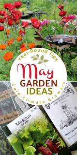 May Garden Tasks What To Make And Grow With Images Garden Tasks May Garden Diy Garden Projects