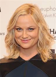 Amy Poehler Biography & TV