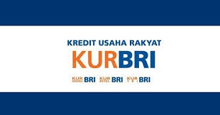 Menghitung ppap (penyisihan penghapusan aktiva produktif) kredit tidaklah sulit. Pengajuan Kur Bca Online 2021