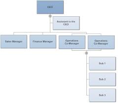 rules for formatting organizational charts