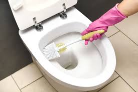 How To Properly Clean A Toilet
