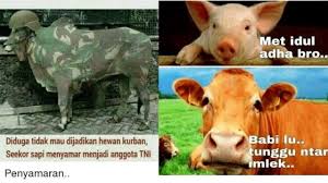 10 Meme Kocak Perasaan Sapi Saat Idul Adha Ini Bakalan Bikin Kamu Kasian Tapi Ngakak