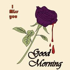 50 Good Morning Images With Rose Flower Hd Images Picswics Send a gif via whatsapp, facebook. with rose flower hd images