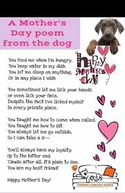 Mother S Day Poem From The Dog Dogmom Mothers Day Poems Dog Quotes Dog Love