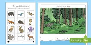 Was sie schon immer über die bewohner des waldes wissen wollten. Tiere Und Ihre Lebensraume Arbeitsblatter Teacher Made