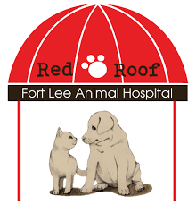 Preliminary exam, also known as the pet exam, which stands for preliminary english test, is designed for students with intermediate taking the free cambridge placement test can help you decide which of the cambridge exams is the right one for your current level of english. Red Roof Fort Lee Animal Hospital Free Pet Exam Online Request