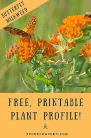 Learn Butterfly Milkweed Care In This Free Printable Plant Profile You Ll Receive A Butter Milkweed Plant Pollinator Garden