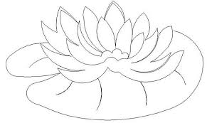 Water Lily Pad Coloring Page Color Luna