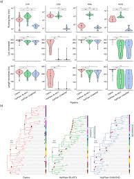 Image result for Bambekea racemosa