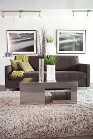 Homes By Avi New Home Builder In Austin Brown Living Room Rugs In Living Room Dark Brown Sofas
