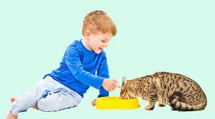 neden kedim az su iciyor kalbimdeki patiler kedi hayvan kopek