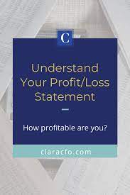 Know Your Business S Financial Standing Profit And Loss Statement Business Basics Financial Apps