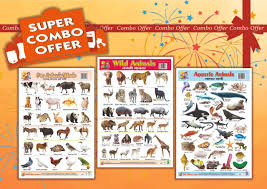 Buy Wall Charts Plastic Non Tearable With Set Of 3 Charts