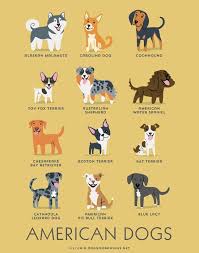 illustrated dog breed charts dogs of the world