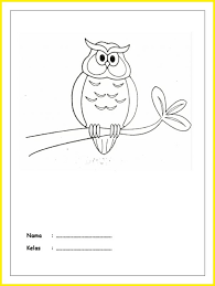 10 gambar burung untuk kolase terlihat keren. 99 Sketsa Burung Hantu Terbaik Paling Unik Paling Populer Sindunesia