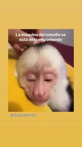 Hola, ¿cómo hace uno para meterse al gym de la U?