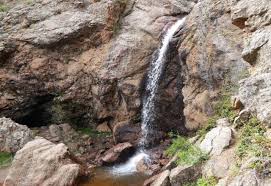 This method of propagation will produce a healthy cactus that is the same as the parent plant. Hike We Like Horsetooth Falls Trail 5280