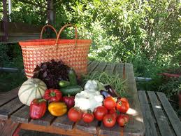 Owner since june 22, 2020. Jardins De Lucie Le Passe Jardins