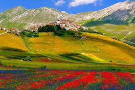 We did not find results for: Terremoto Castelluccio Salva La Semina Di Lenticchie E La Fioritura La Voce D Italia