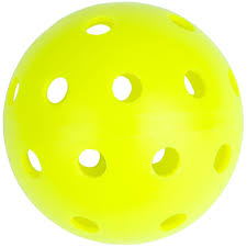 Image result for pickleball pictures