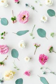 Download Premium Image Of Beautiful Colorful Flowers Background Design Flower Background Iphone Flower Background Design Flower Background Wallpaper