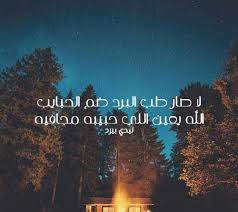 شعر عن البرد للحبيب ليدي بيرد