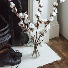 Dried flowers for sale uk. Dried Flowers Uk Lavender Rose
