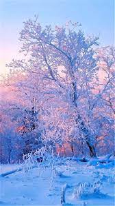 Winter View Winter Wallpaper Scenery Wallpaper Winter Scenery