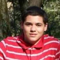 Michael David McCarl Obituary