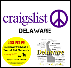 Pin By Pet Tips On Helping Animals Lost Found Losing A Pet Newark City