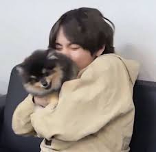 Limner Taekook 2020 Uyuyan Guzel Gelecekteki Kocama Unluler