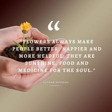 We did not find results for: 55 Inspirational Flower Quotes Beautiful Motivational Sayings With Pictures