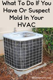 Rinse the vent with a hose step 3: Your Guide To Hvac Mold Mold In Air Ducts Mold Help For You