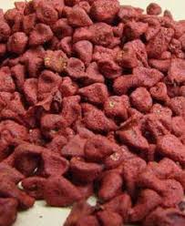 Image result for Voacanga chalotiana