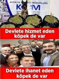 Tolga Arda Adli Kullanicinin Bilgi Panosundaki Pin Guzel Soz Gercekler Okuma