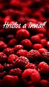 Maybe you would like to learn more about one of these? Zmeura Ursului Home Facebook